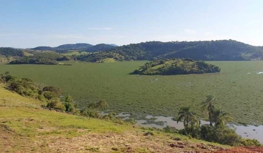 Algas na lagoa da Barra do Braúna atrapalham pescadores e chamam atenção de moradores em Recreio