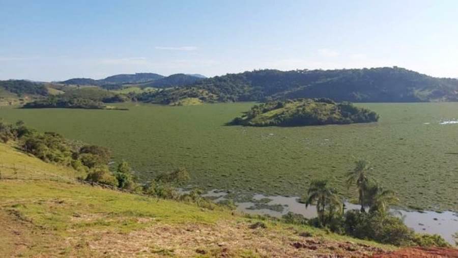 Algas na lagoa da Barra do Braúna atrapalham pescadores e chamam atenção de moradores em Recreio