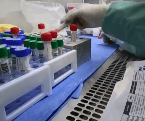 Leopoldina registra novo óbito por Covid e mais 11 casos nas últimas 24 horas