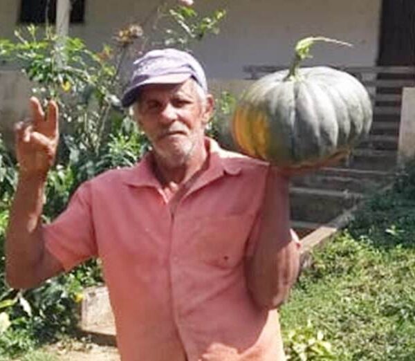 Polícia Civil investiga desaparecimento de idoso na região do distrito de Tebas