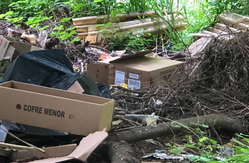 Descarte irregular de lixo e entulho é registrado por moradores em Leopoldina
