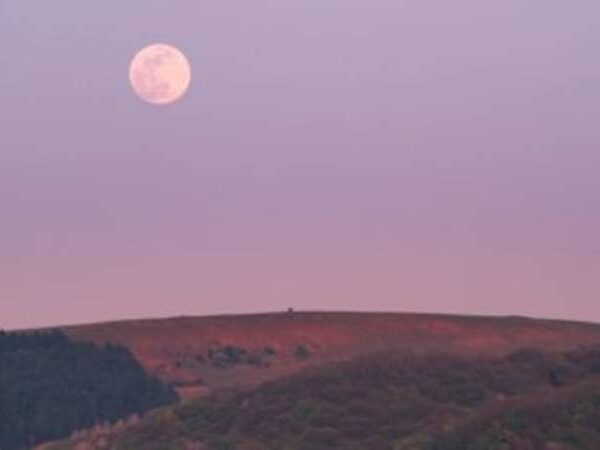Superlua Rosa: fenômeno poderá ser visto na noite desta segunda-feira (26)