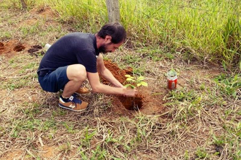 ‘Bosques da Memória’ faz homenagem às vítimas da Covid-19 com plantio de árvores em Recreio