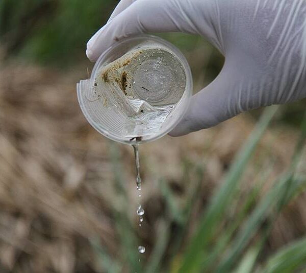 Cataguases, Leopoldina e Laranjal lideram ranking de Dengue na região