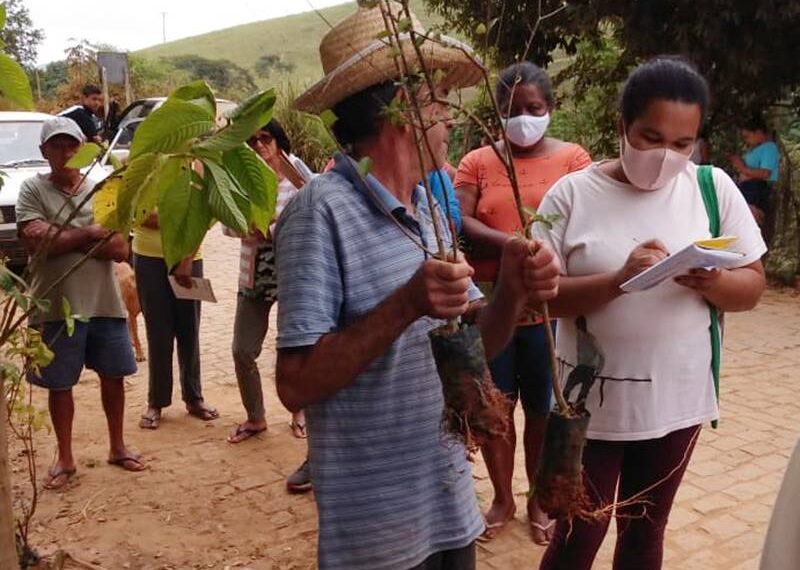 Programa Pomar Doméstico em Leopoldina distribui mudas de árvores frutíferas na comunidade de São Lourenço