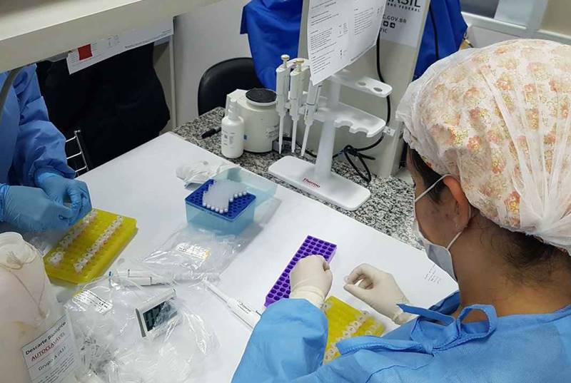 Pesquisa da UFMG já identificou 68 bebês nascidos com anticorpos da Covid-19 em Minas