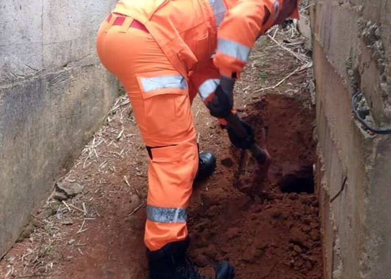 Bombeiros de Leopoldina resgatam filhotes em buraco após cadela dar à luz