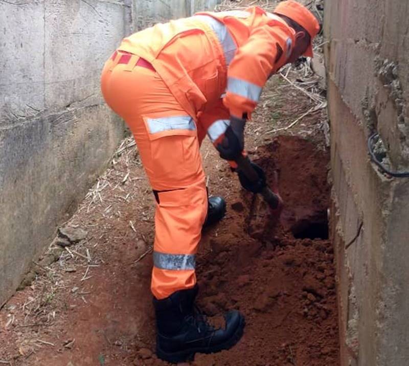 Bombeiros de Leopoldina resgatam filhotes em buraco após cadela dar à luz