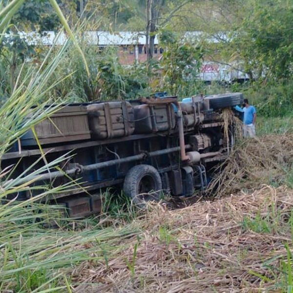 Caminhão carregado de gado colide com automóvel e tomba às margens de rodovia em Além Paraíba