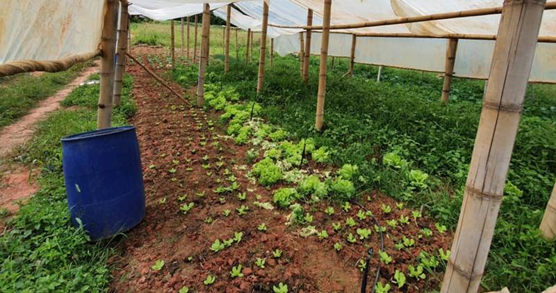 Emater oferece curso para agricultores familiares em Leopoldina
