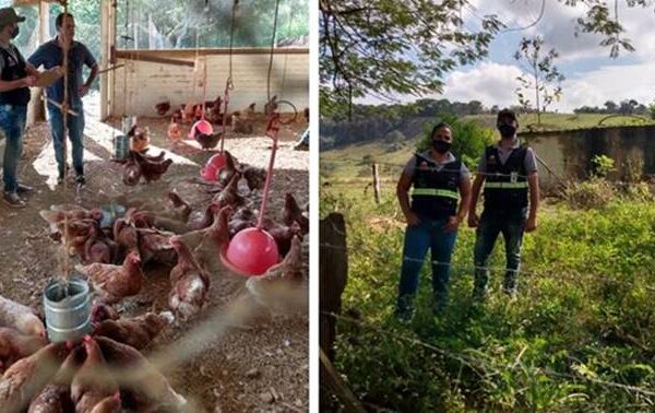 Aqui de Leopoldina: Início dos trabalhos do Serviço de Inspeção Municipal