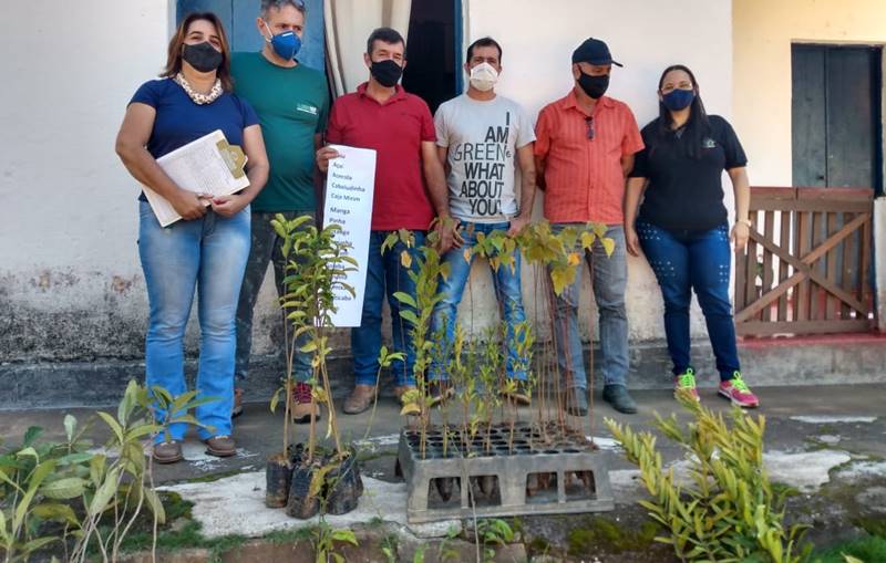Aqui de Leopoldina: Projeto já distribuiu mais de 3 mil mudas frutíferas e nativas