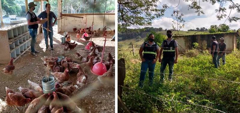 Aqui de Leopoldina: Início dos trabalhos do Serviço de Inspeção Municipal