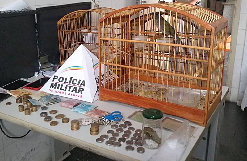 Polícia Militar de Leopoldina prende jovem e apreende materiais durante cumprimento de mandado no Bela Vista