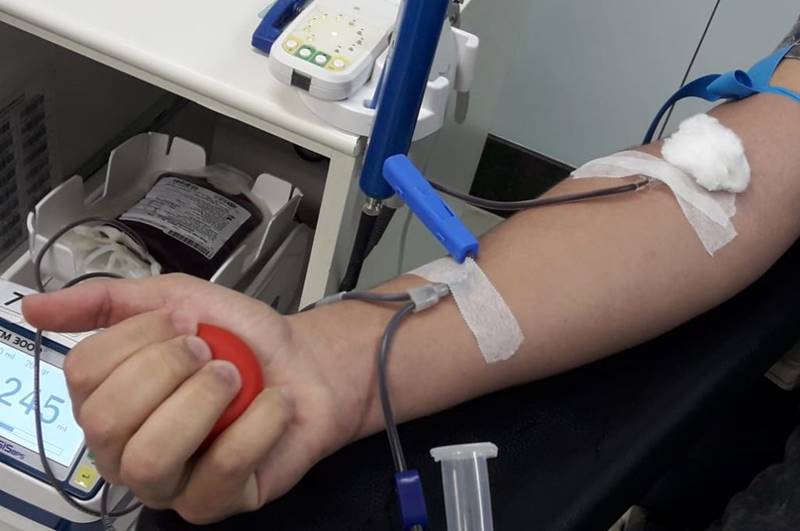 Live promovida pelo Colégio Imaculada Conceição destaca importância da doação de sangue