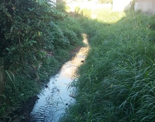 Projeto de requalificação urbana do Feijão Cru em Leopoldina alcança projeção internacional