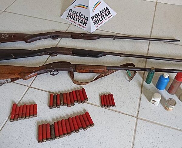 Armas e pássaros silvestres são apreendidos pela Polícia Militar de Meio Ambiente em Leopoldina