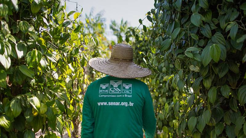 Senar divulga agenda de treinamentos em municípios da região