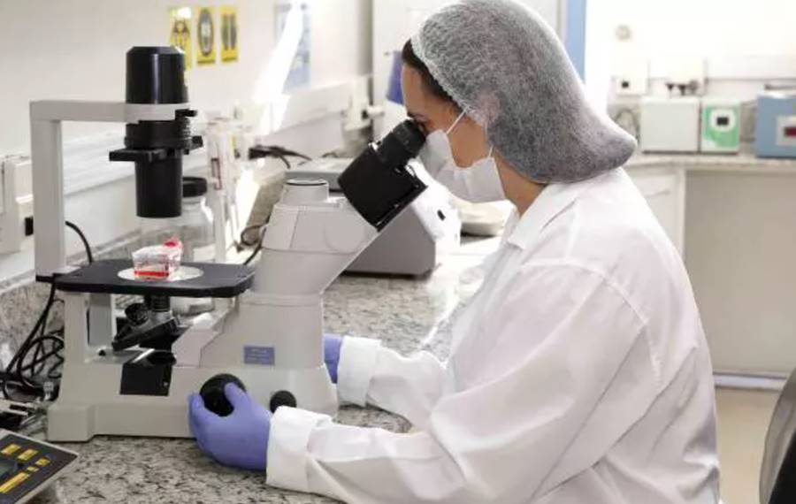 Variante de Manaus do novo coronavírus é identificada em Leopoldina