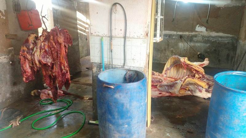 Polícia Militar de Meio Ambiente flagra abatedouro clandestino em Bicas