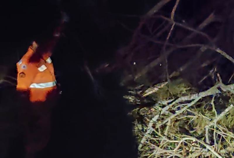 Queda de árvore interdita trecho da BR-267 na Serra de Argirita