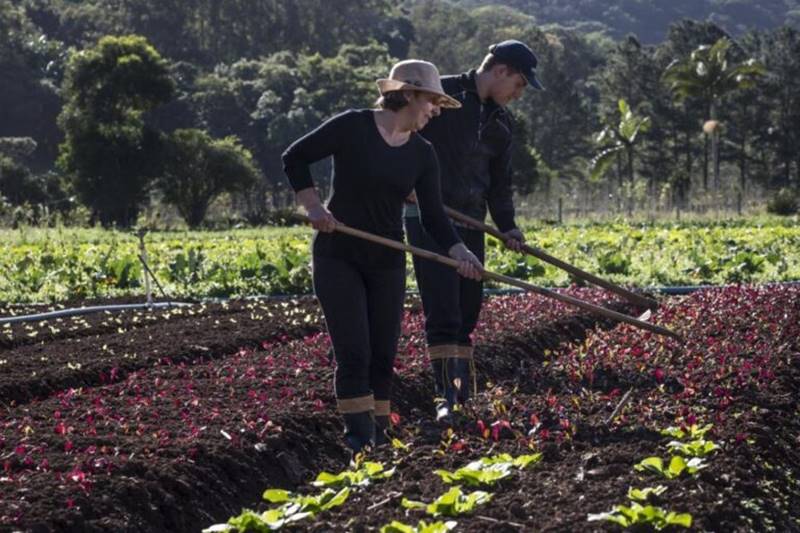 Saiba como participar da 91ª Semana do Fazendeiro