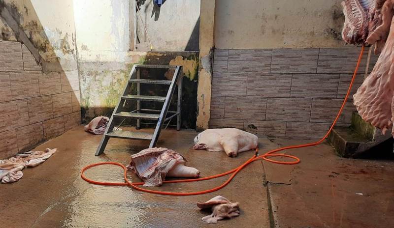 Ação integrada apreende cerca de uma tonelada de carnes em Ubá