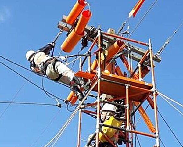 Número de ligações novas aumenta mais de 130% nos últimos 12 meses