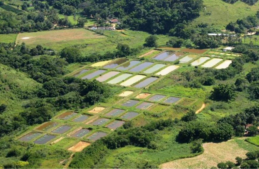 CEFET-MG em Leopoldina e EPAMIG formalizam parceria para pesquisa e capacitação