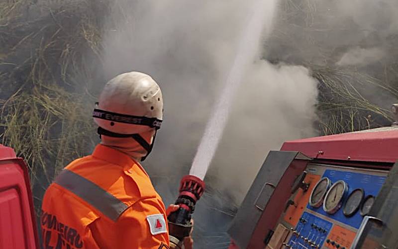 7º Pelotão do Corpo de Bombeiros combate queimadas em Leopoldina e região