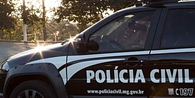 Polícia Civil prende suspeito de matar cavalo com lança em Ubá