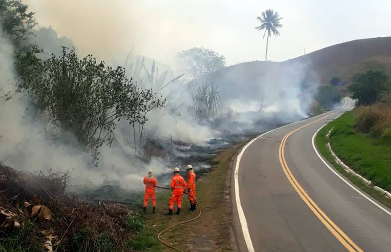 Incêndio de grande proporção atinge mata no distrito de Tebas em Leopoldina