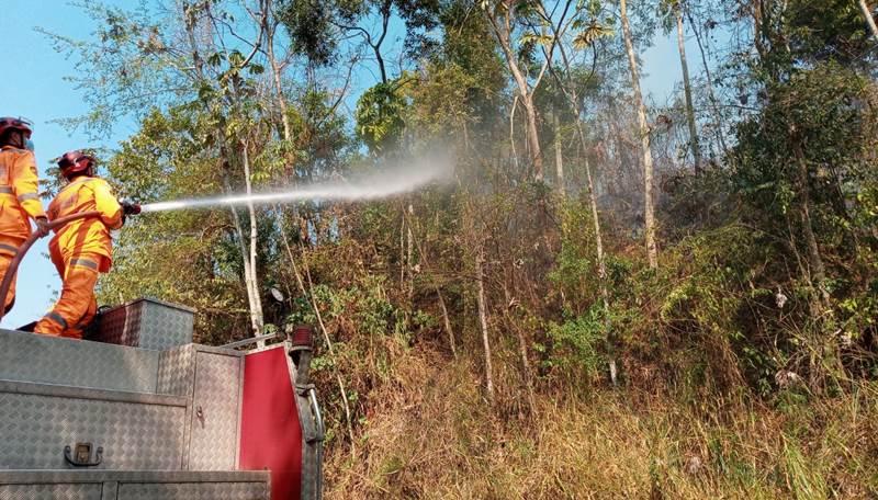 Idoso morre durante incêndio em vegetação às margens da MG-353 em Coronel Pacheco