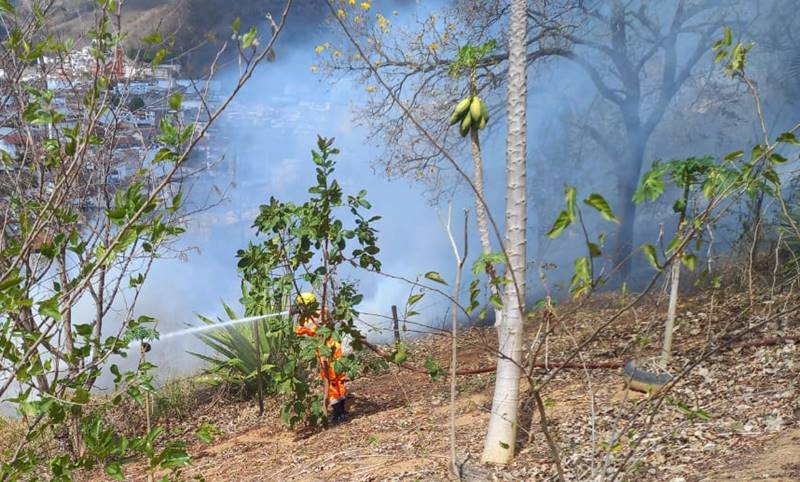 Incêndio em vegetação na Cohab Nova em Leopoldina mobiliza Corpo de Bombeiros