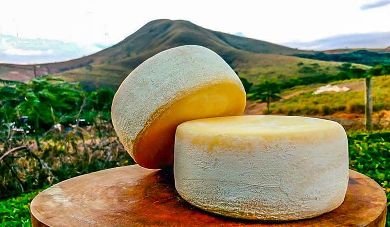 Queijos mineiros seguem conquistando o mundo