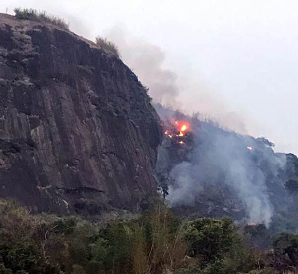 Incêndios em vegetação atingem duas grandes áreas verdes em Leopoldina