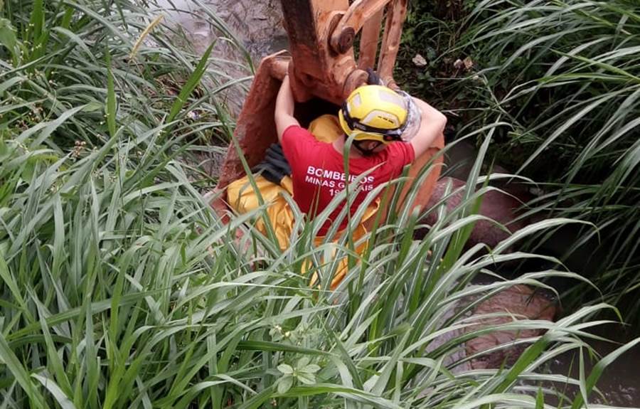 Corpo de Bombeiros de Leopoldina resgata cavalo que caiu em córrego no Bandeirantes