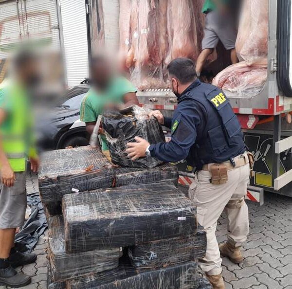 Quase 9 toneladas de maconha são apreendidas em Juiz de Fora