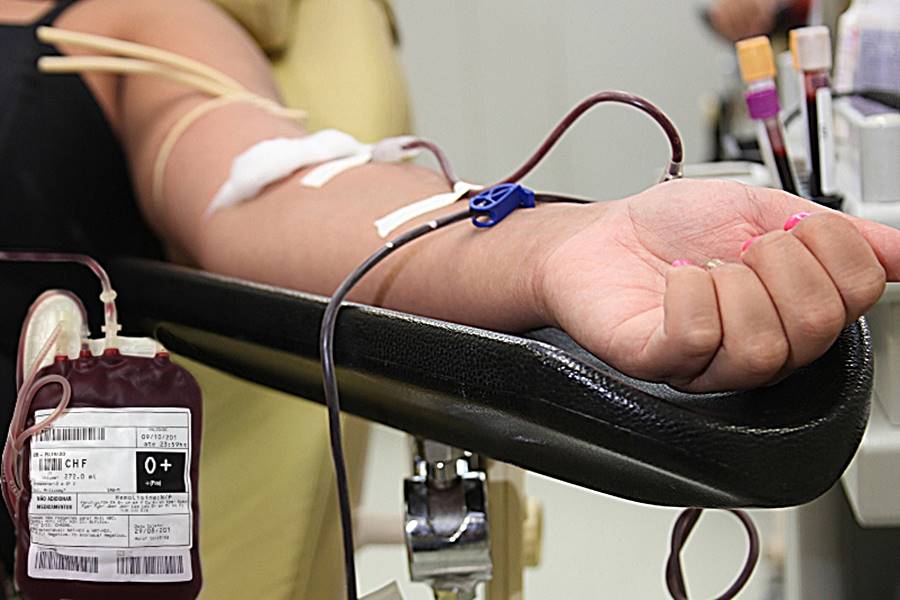 Projeto em Leopoldina cria selo de reconhecimento para empresas que estimulam doação de sangue