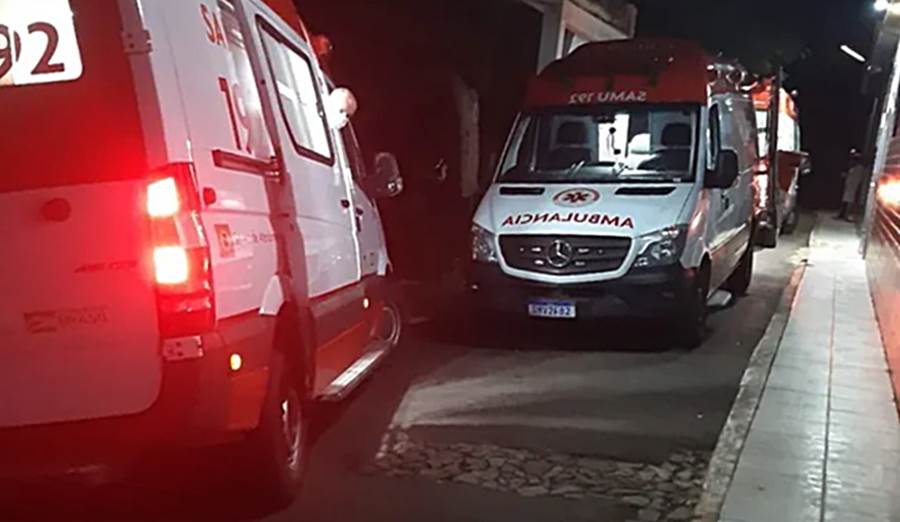 Motorista fica em estado grave após colidir com vaca na MG-126 em Bicas