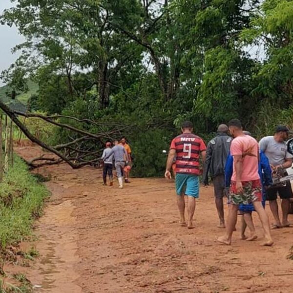 Forte temporal provoca queda de árvores e barreiras em Leopoldina