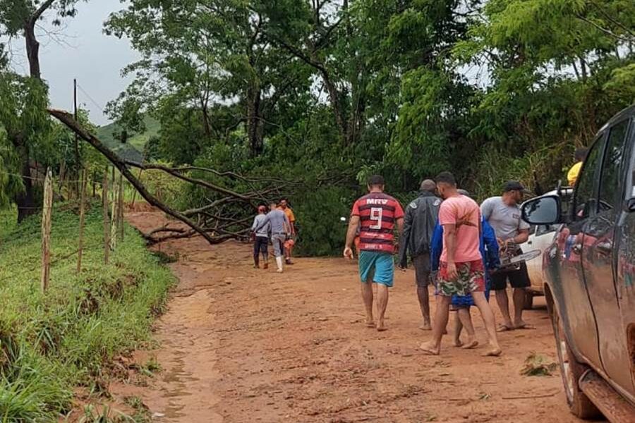 Forte temporal provoca queda de árvores e barreiras em Leopoldina