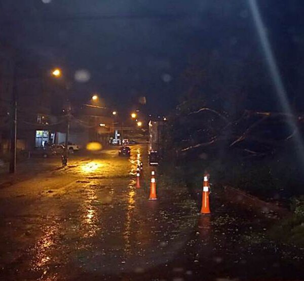 Temporal derruba árvores, leva telhados e causa transtornos em Leopoldina