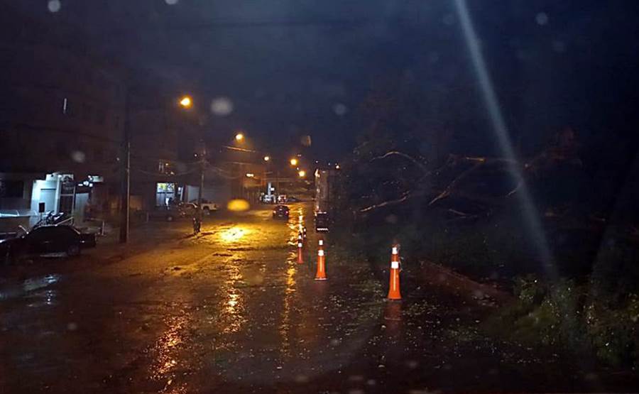 Temporal derruba árvores, leva telhados e causa transtornos em Leopoldina