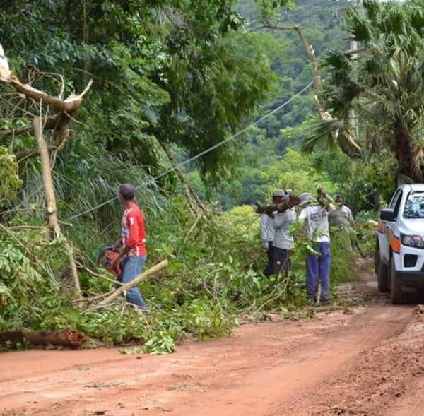 Força-tarefa realiza limpeza e monitora áreas após temporal em Leopoldina