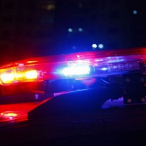 Proprietário rural tem 30 cabeças de gado furtadas em Abaíba e busca por informações