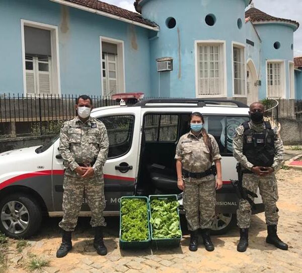 Hortaliças produzidas no Presídio de Leopoldina são doadas para Asilo Santo Antônio e Apae