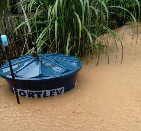 Chuva constante causa alagamento em São Martinho e mais deslizamentos no Centro de Leopoldina
