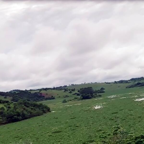 Lago da Usina de Barra do Braúna está repleto de plantas aquáticas