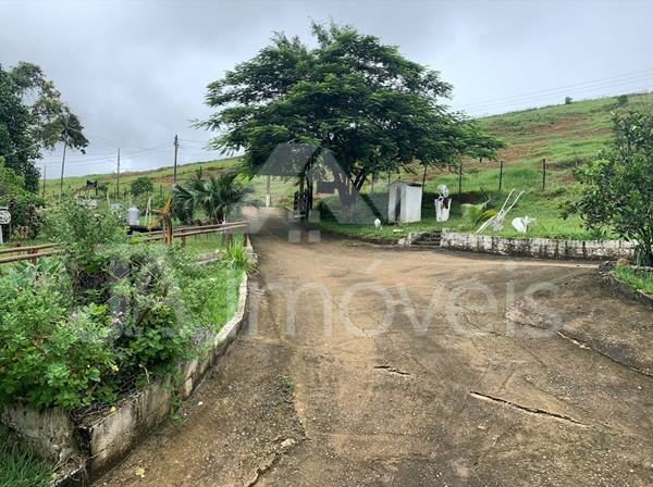 Chácara com duas casas e seis açudes em Leopoldina- Venda